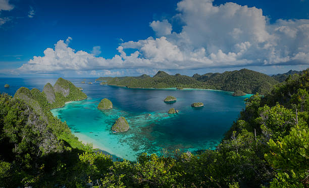 Panorama marine reserve Raja Ampat in New Guinea Archipelago Vayag, Halmahera Sea, reserve Raja Ampat in Papua New Guinea raja stock pictures, royalty-free photos & images