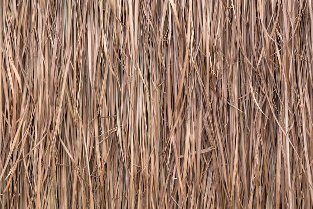 istock Thatch roof background, hay or dry grass background 536971439