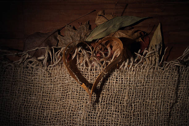 Autumn leaves background texture heart concept