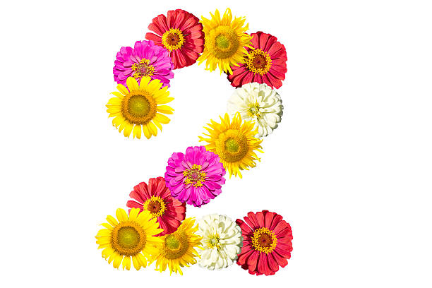 istock number made from flowers, arabic numeral 536976189