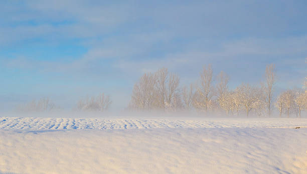 istock Winter landscape view fields forests covered snow fog 536976887