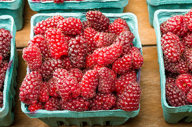 istock Fresh Tayberries on display at the market 536978031