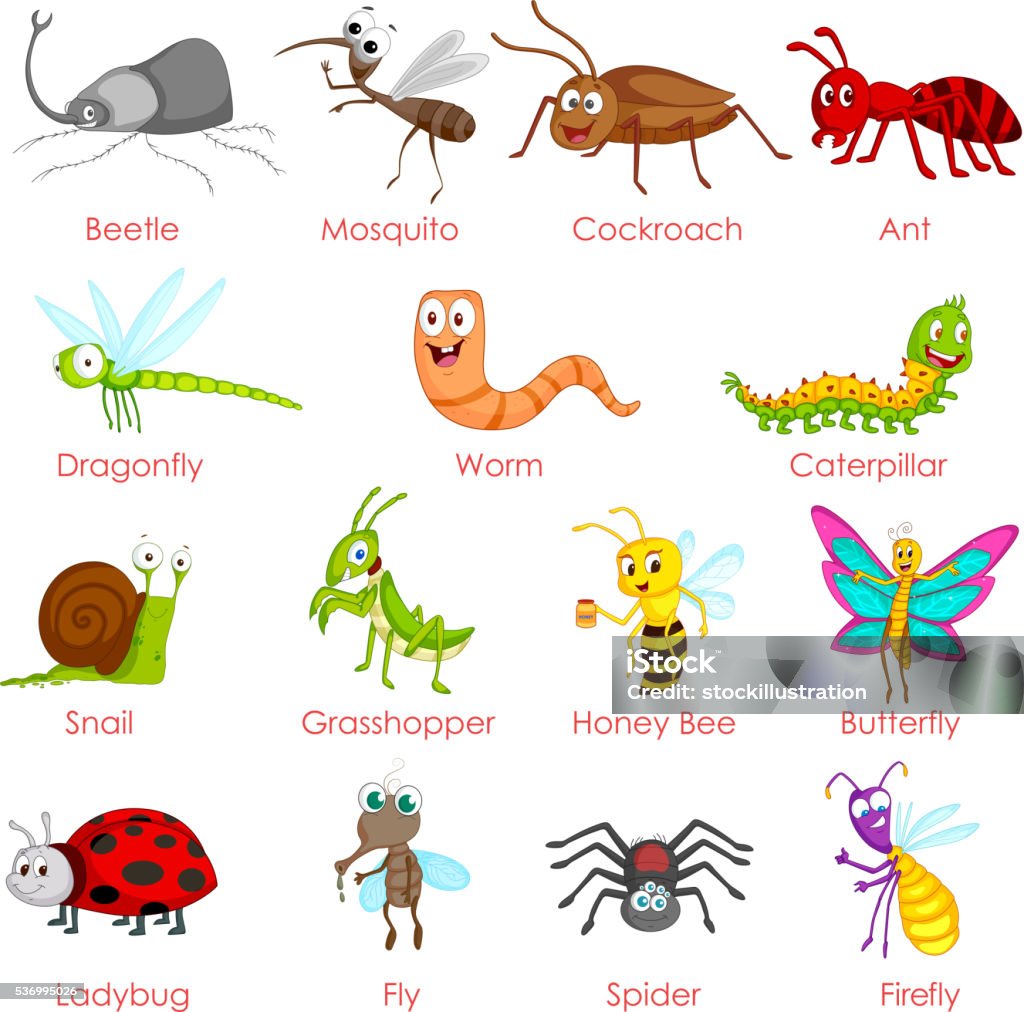 Insectos Variadas Ilustración de Diferentes Variedad De Insectos y más Vectores Libres de ...