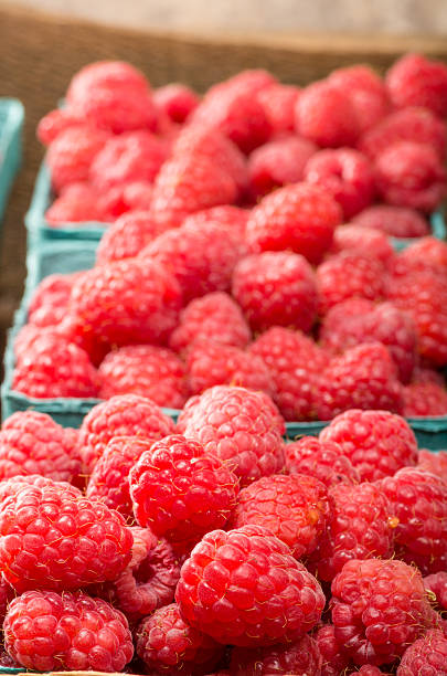 istock Fresh red raspberries on display at the market 537014543