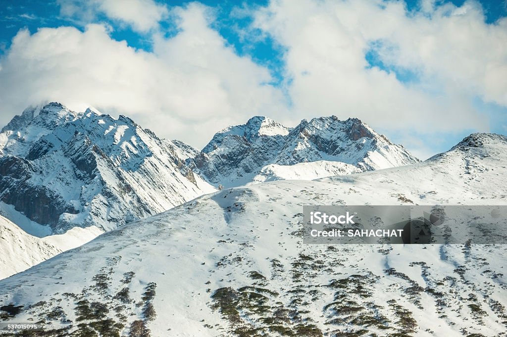 Snow Mountain 2015 Stock Photo
