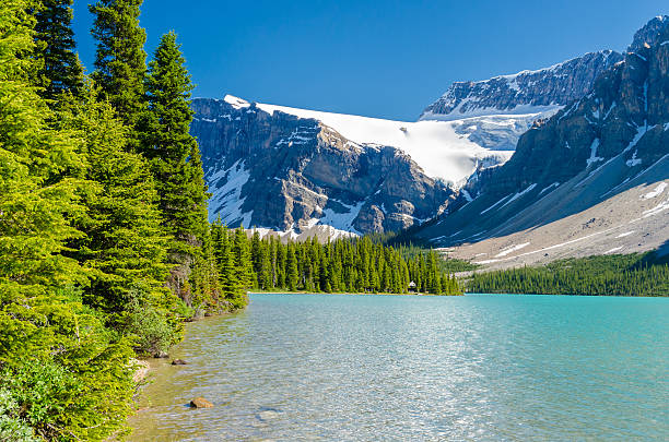 istock Bow Lake, Canadian Rockies 537016815