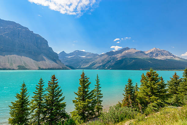 istock Bow Lake, Canadian Rockies 537016825