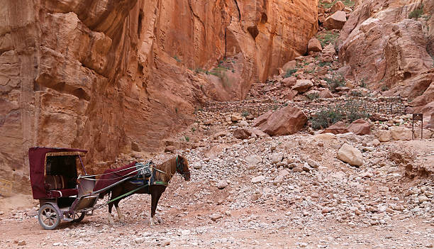 istock Petra, Jordan-- has been UNESCO World Heritage Site since 1985 537018579