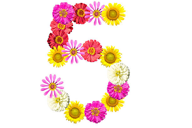 istock number made from flowers, arabic numeral 537018639