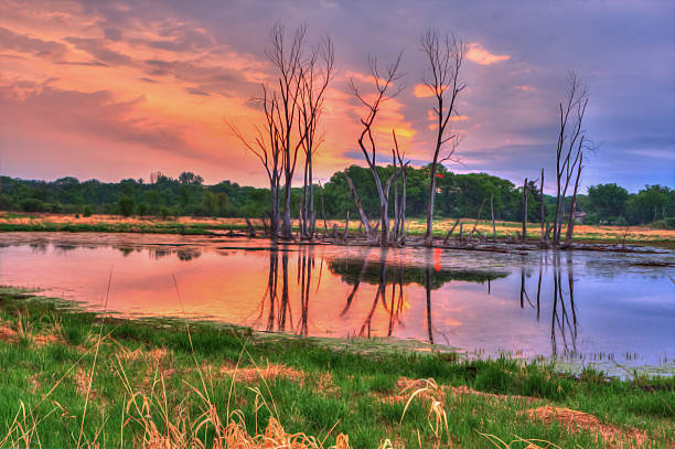 istock An HDR landscape of a lake soft focus 537018817