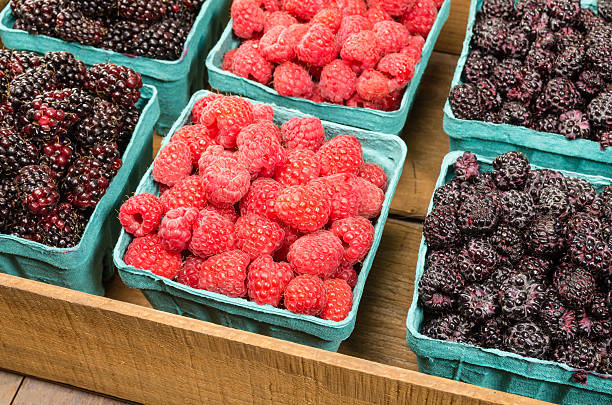 Wooden box of berries on display Wooden box of fresh Marionberries Red Raspberries and Black Raspberries marionberry stock pictures, royalty-free photos & images