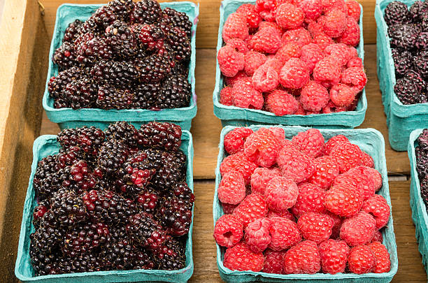 Boxes of red raspberries and marionberries Freshly picked boxes of Marionberries and Red Raspberries on display marionberry stock pictures, royalty-free photos & images
