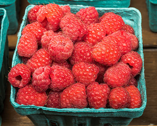 istock Basket of fresh Red Raspberries 537019245