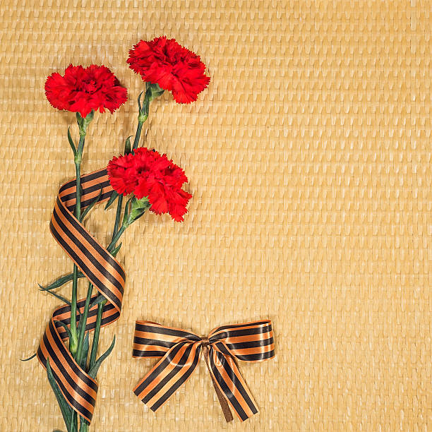 istock Carnations and Georgievsky tape 537019557