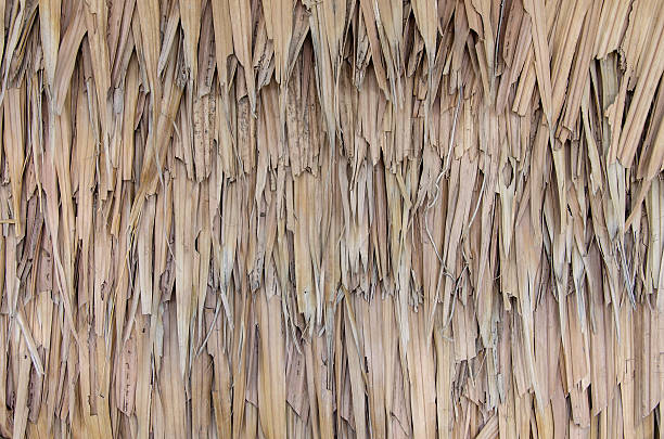istock Thatch roof background, hay or dry grass background 537020029