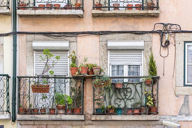 vasos de flores e plantas de casa em uma antiga weatherd varanda - weatherd imagens e fotografias de stock