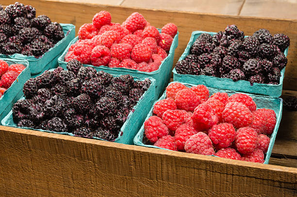 istock Wooden box with baskets of berries 537039863