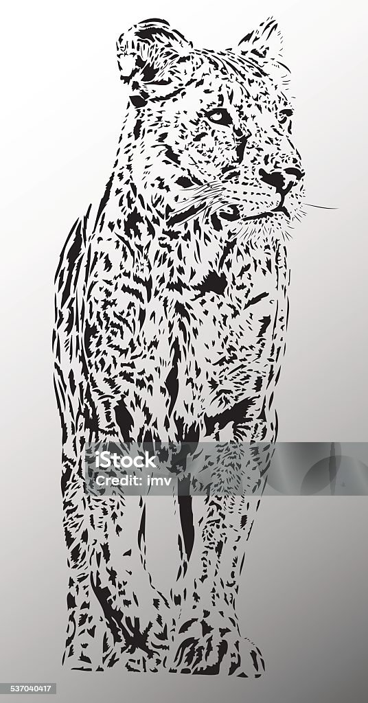 Lion female illustration Nice female lion portrait - High detailed vector Lioness - Feline stock vector