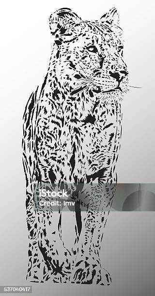 Lion Female Illustration Stock Illustration - Download Image Now - Lioness - Feline, Illustration, Lion - Feline