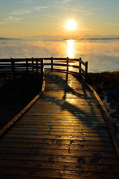 istock sunrise and wooden walkway 537044075