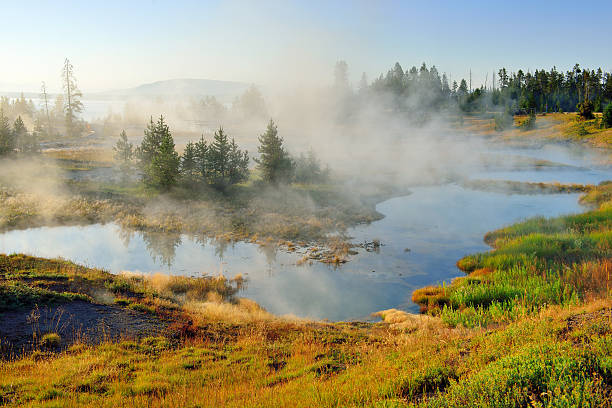 istock steaming geysers in West Thumb 537044095