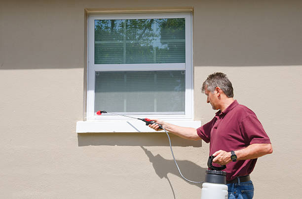 профессиональные пешт службы контроля сделай сам дома владельца - exterminator pest control equipment insecticide manual worker стоковые фото и изображения