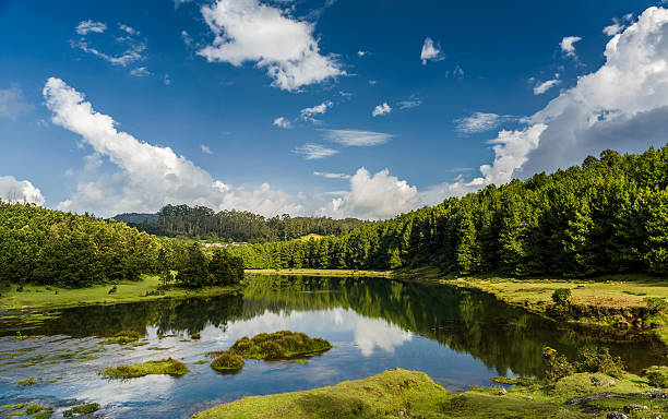 istock Pykara river and lake near Ooty 537044907