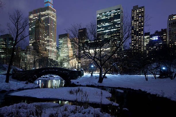 istock Central park in New York City 537045379