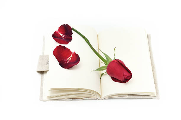 istock Red rose put in a book for valentine's gift 537045799