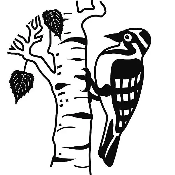 Vector illustration of woodpecker on birch tree in black and white