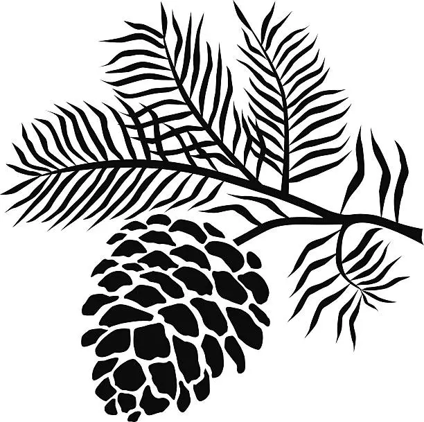 Vector illustration of pinecone on branch in black and white