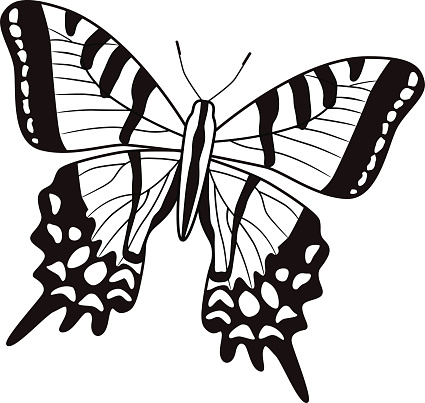 A vector illustration of a two tailed swallowtail North American butterfly in black and white. An EPS file and a large jpg are included in this download.