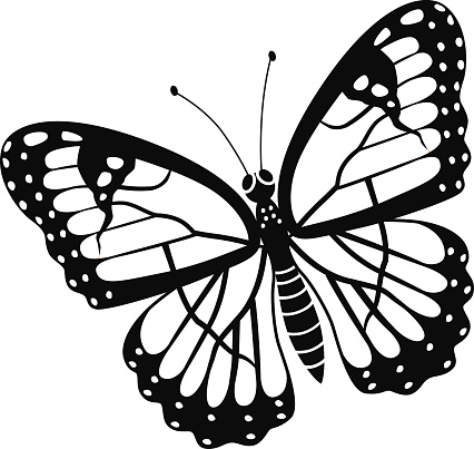 A vector illustration of Viceroy butterfly in black and white. An EPS file and a large jpg are included in this download.