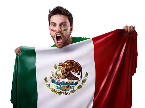 istock Fan holding the flag of Mexico 537046884