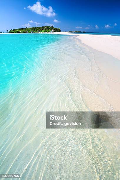 Tropischen Insel Mit Sandstrand Und Palmen Stockfoto und mehr Bilder von Malediven - Malediven, Polynesien, Palme