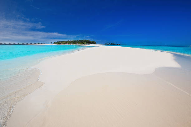 istock Tropical island with sandy beach and palm trees. 537050746