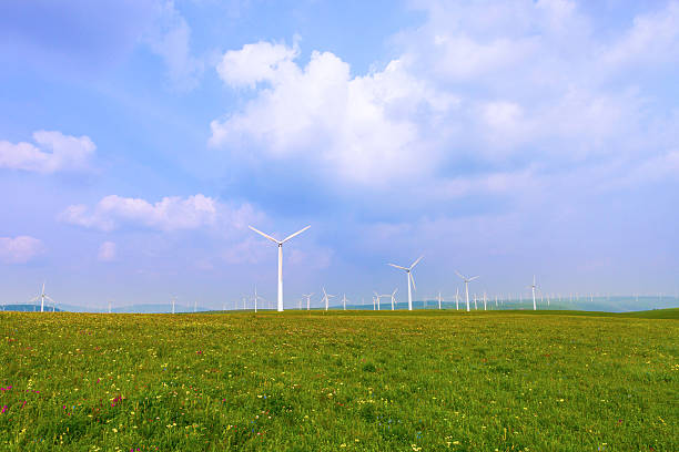 istock Wind turbine on the green grass over clouded sky 537060403