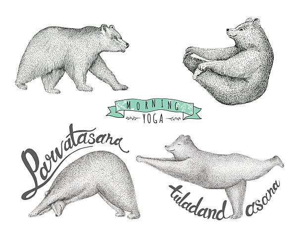 Set illustrations of fun bears . Morning yoga practice. Hipster illustration.