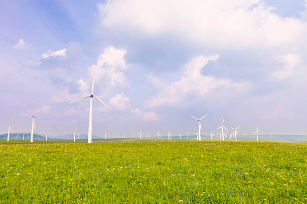 istock Wind turbine on the green grass over clouded sky 537061061