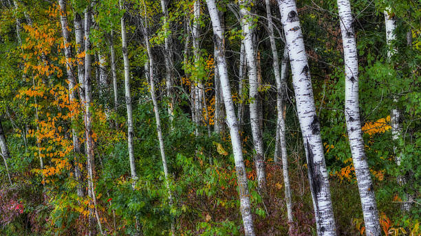 istock Colorful scenic Landscape in HDR 537061895
