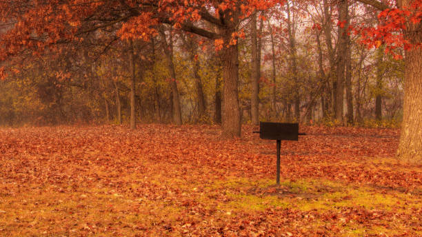 Colorful scenic Landscape in High Dynamic Range.