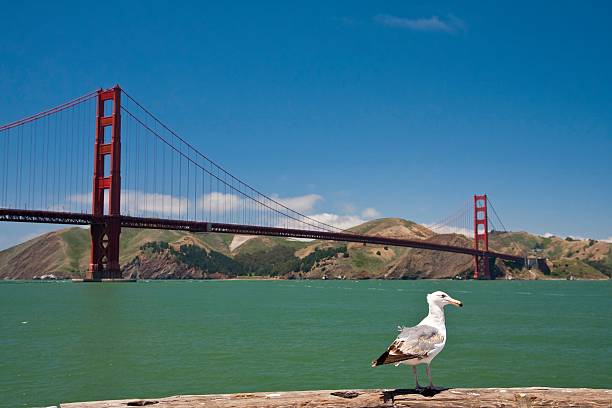 The Golden Gate is one of the most internationally recognized symbols of San Francisco, California, and the United States.