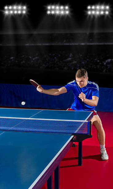 istock Table tennis player at sports hall 537062547