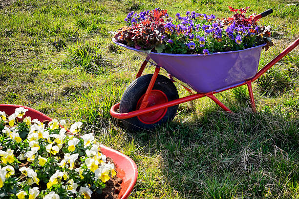 istock flowers in an old cart 537064445