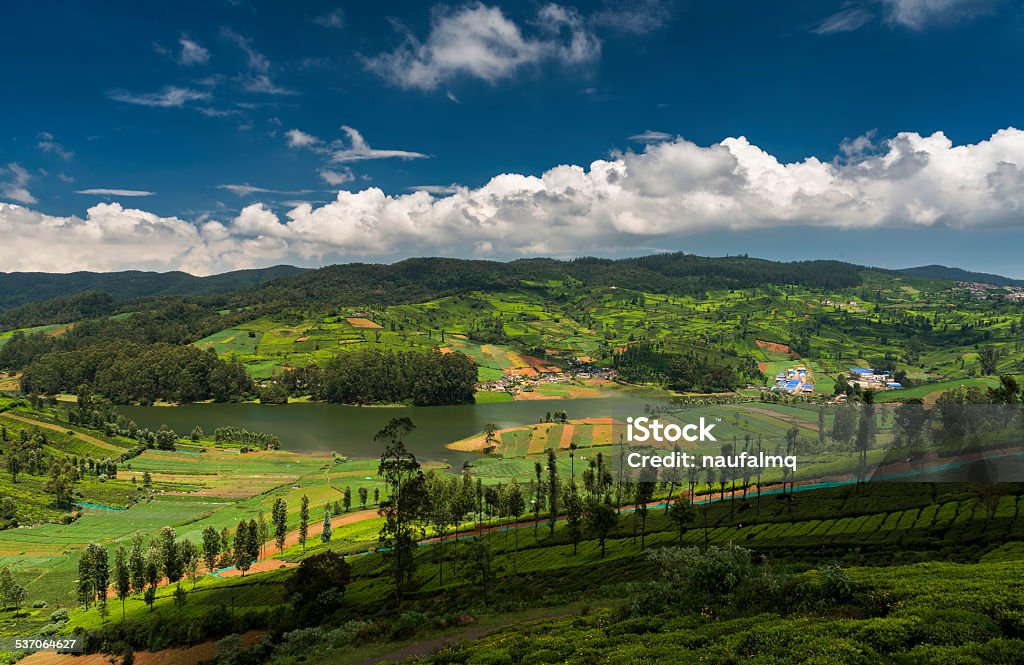 Tea plantations around the Emerald Lake in Ooty Tea plantations around the Emerald Lake in Ooty. Beautiful clouds formed over the Emerald Lake. Ooty or Ootacamund (Udamandalam) is a popular hill station in Tamil Nadu. Western Ghats Stock Photo