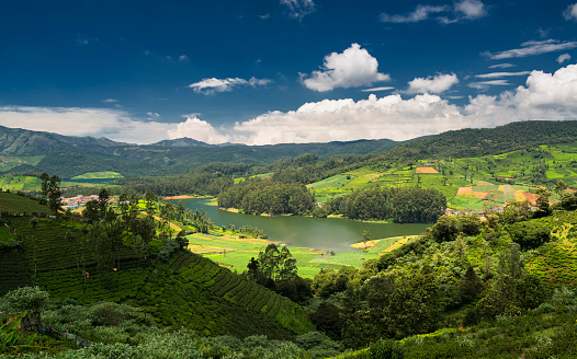 Tea plantations around the Emerald Lake in Ooty. Beautiful clouds formed over the Emerald Lake. Ooty or Ootacamund (Udamandalam) is a popular hill station in Tamil Nadu.