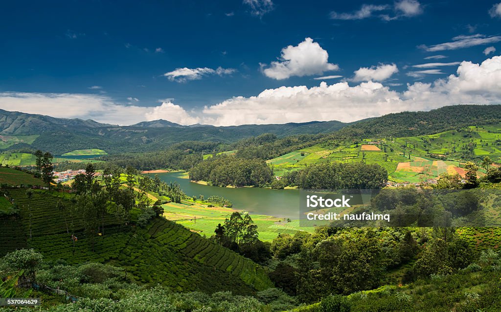 Tea plantations around the Emerald Lake in Ooty Tea plantations around the Emerald Lake in Ooty. Beautiful clouds formed over the Emerald Lake. Ooty or Ootacamund (Udamandalam) is a popular hill station in Tamil Nadu. Ooty Stock Photo