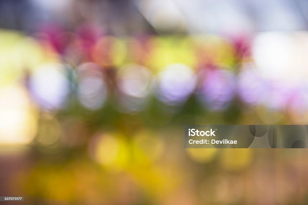 Natural bokeh flower and Blurred background 2015 Stock Photo
