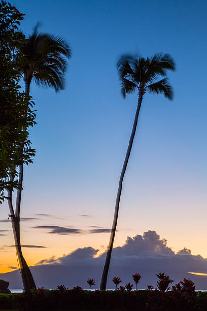 istock USA - Hawaii - Maui, Kaanapali Beach 537074053