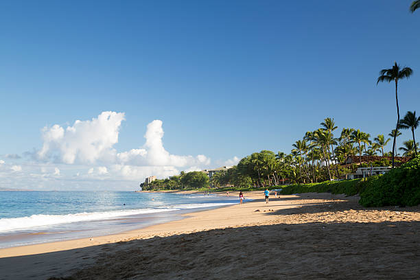 istock USA - Hawaii - Maui, Kaanapali Beach 537077513